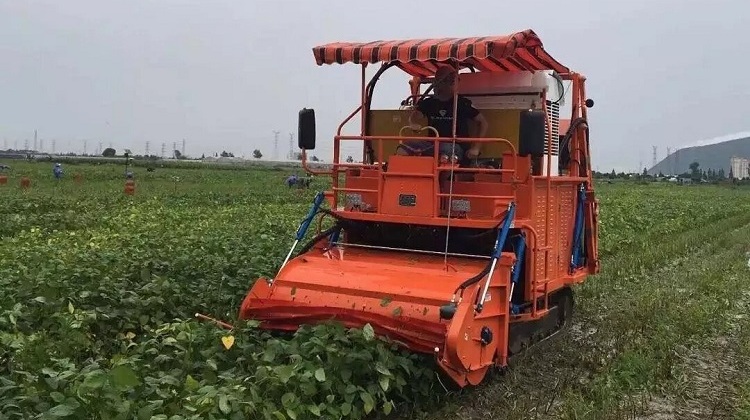 rubber track undercarriage