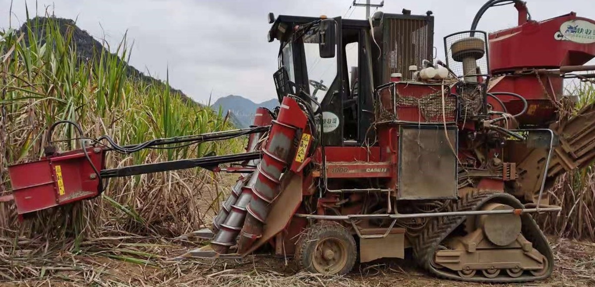 sugarcane harvester rubber tracked undercarriage
